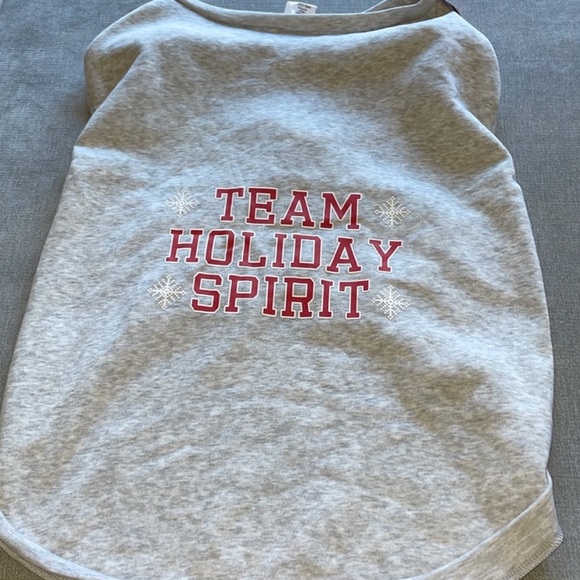 Wondershop Team Holiday Spirit Sweatshirt - Picture 4 of 6